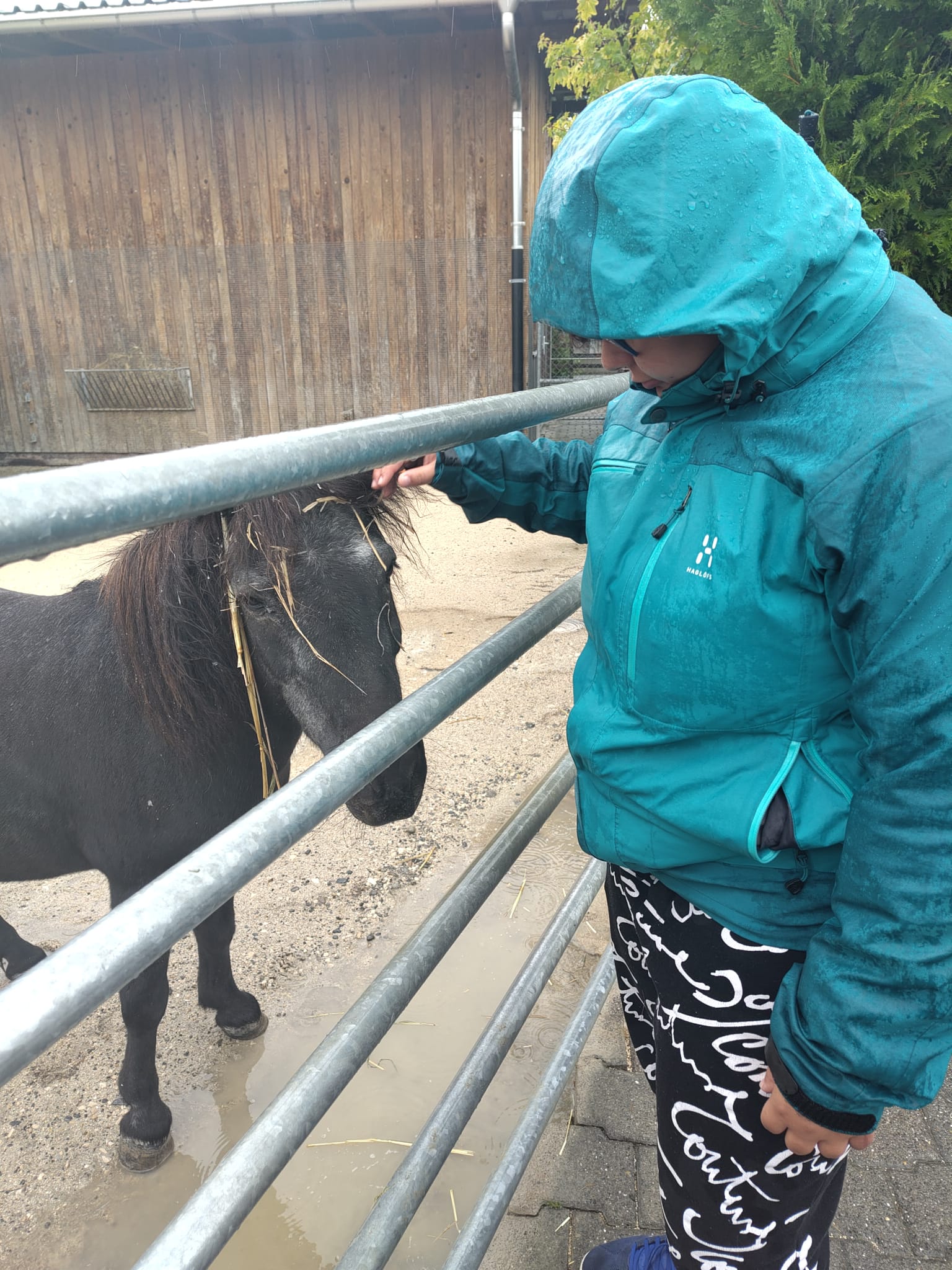 Assista_WK25_2108 (16).jpg